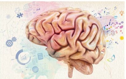 ¿Cuál es la mejor vitamina para el cerebro?