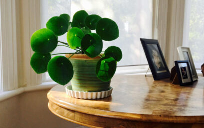 Feng Shui: tres cosas que se deben hacer para triplicar el dinero