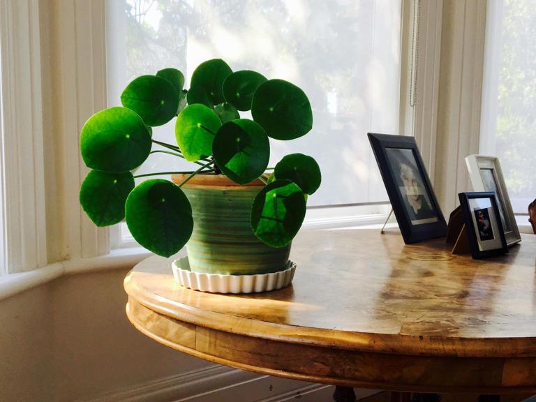 Feng Shui: tres cosas que se deben hacer para triplicar el dinero Feng Shui: tres cosas que se deben hacer para triplicar el dinero