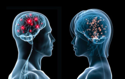 Entre Neuronas y curiosidades: Los entresijos del cerebro humano al descubierto