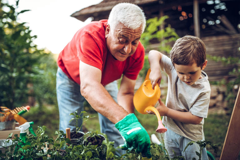 Según un estudio, este es el vínculo afectivo necesario para prevenir el alzhéimer y la demencia senil Según un estudio, este es el vínculo afectivo necesario para prevenir el alzhéimer y la demencia senil