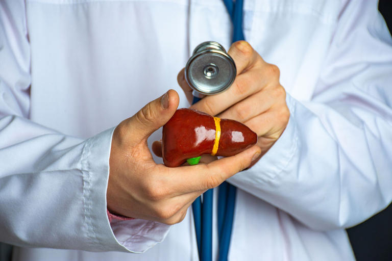Infusión que se debe tomar en las noches para limpiar el hígado y adelgazar Infusión que se debe tomar en las noches para limpiar el hígado y adelgazar