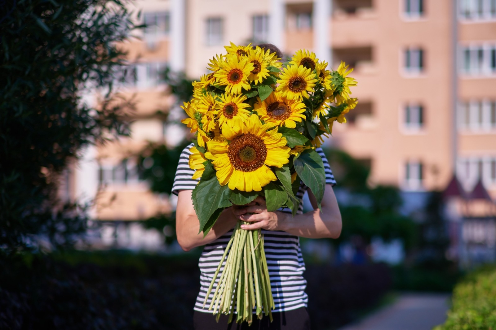 ¿Por qué el 21 de marzo se obsequian flores amarillas? ¿Por qué el 21 de marzo se obsequian flores amarillas?