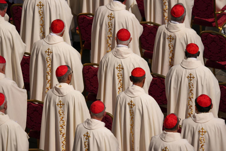 ¿Quiénes aspiran a ser papa? Entre ellos hay un teólogo, un diplomático y un sacerdote de barrio ¿Quiénes aspiran a ser papa? Entre ellos hay un teólogo, un diplomático y un sacerdote de barrio