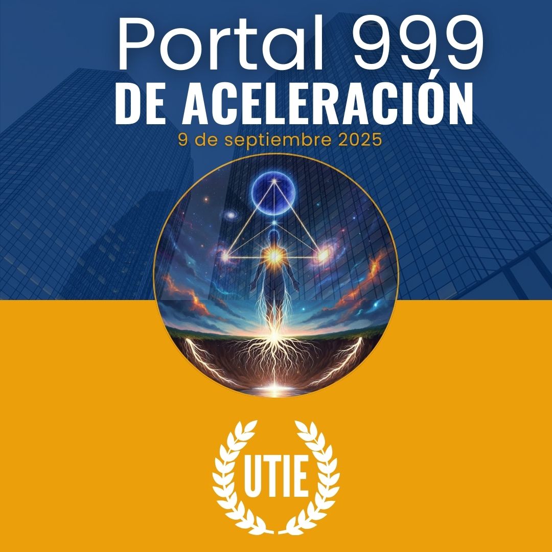 ¿Qué es un portal de Aceleración?