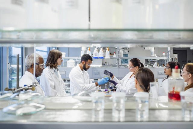 Identifican una molécula de la microbiota intestinal que alarga la vida de ratones con enfermedades mitocondriales Identifican una molécula de la microbiota intestinal que alarga la vida de ratones con enfermedades mitocondriales